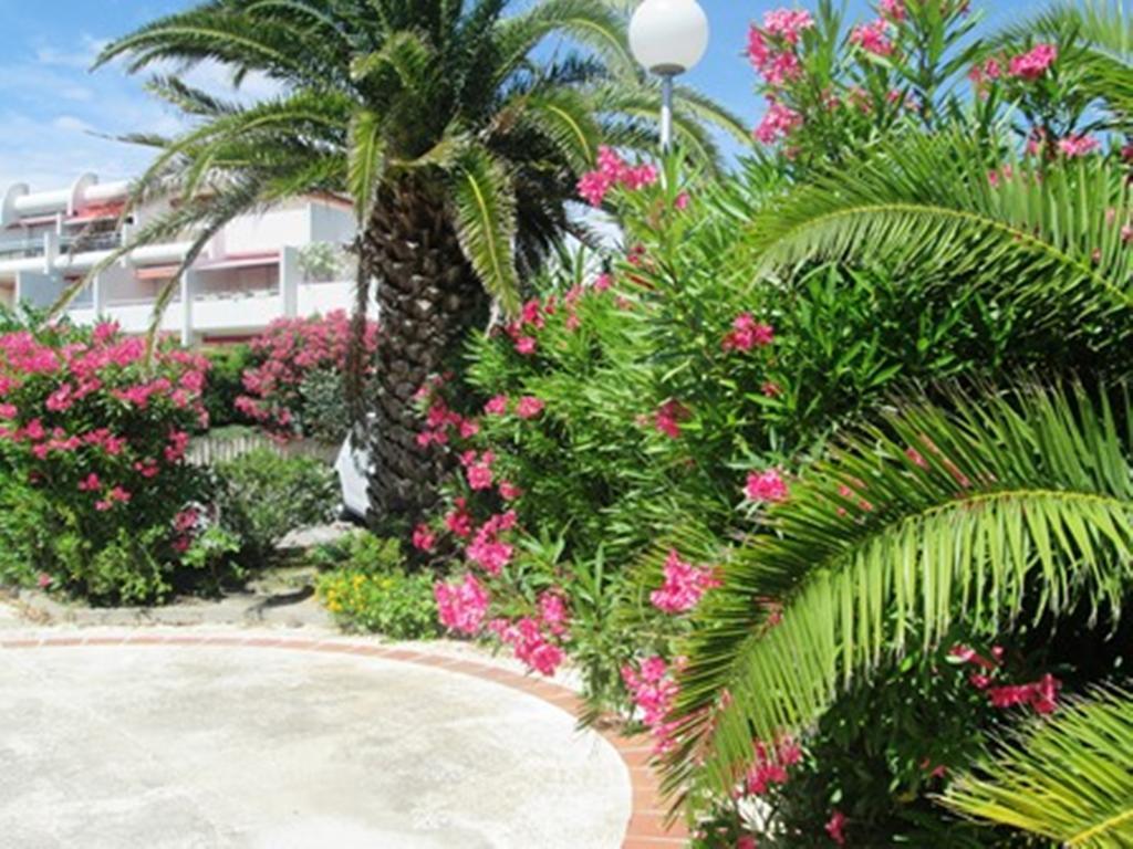 Apartment Vittoria Immobilier 12