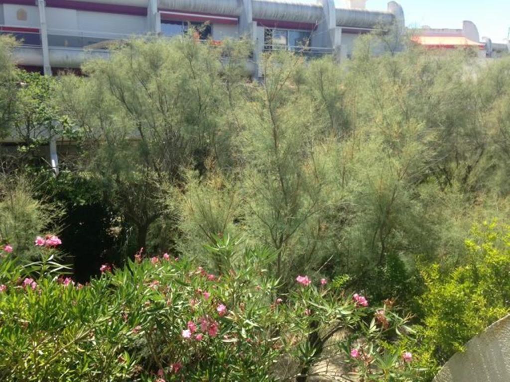 Apartment Vittoria Immobilier 12 *